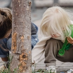 Яркая и позитивная игра Sweet Bonanza с разноцветными фруктами