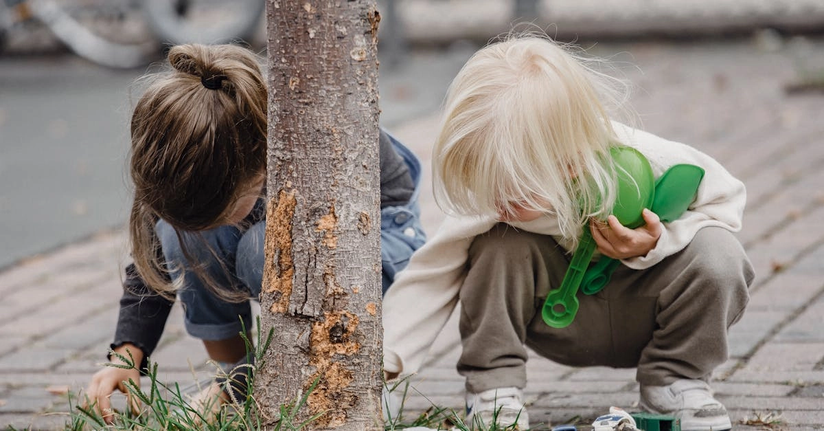 Яркая и позитивная игра Sweet Bonanza с разноцветными фруктами